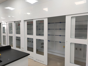 PP步入式通風柜